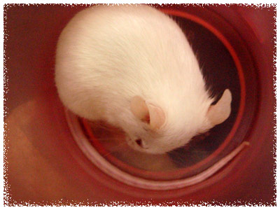 �n�c�J�l�Y�~